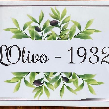 L'Olivo - 1932 Daire Controguerra Dış mekan fotoğraf