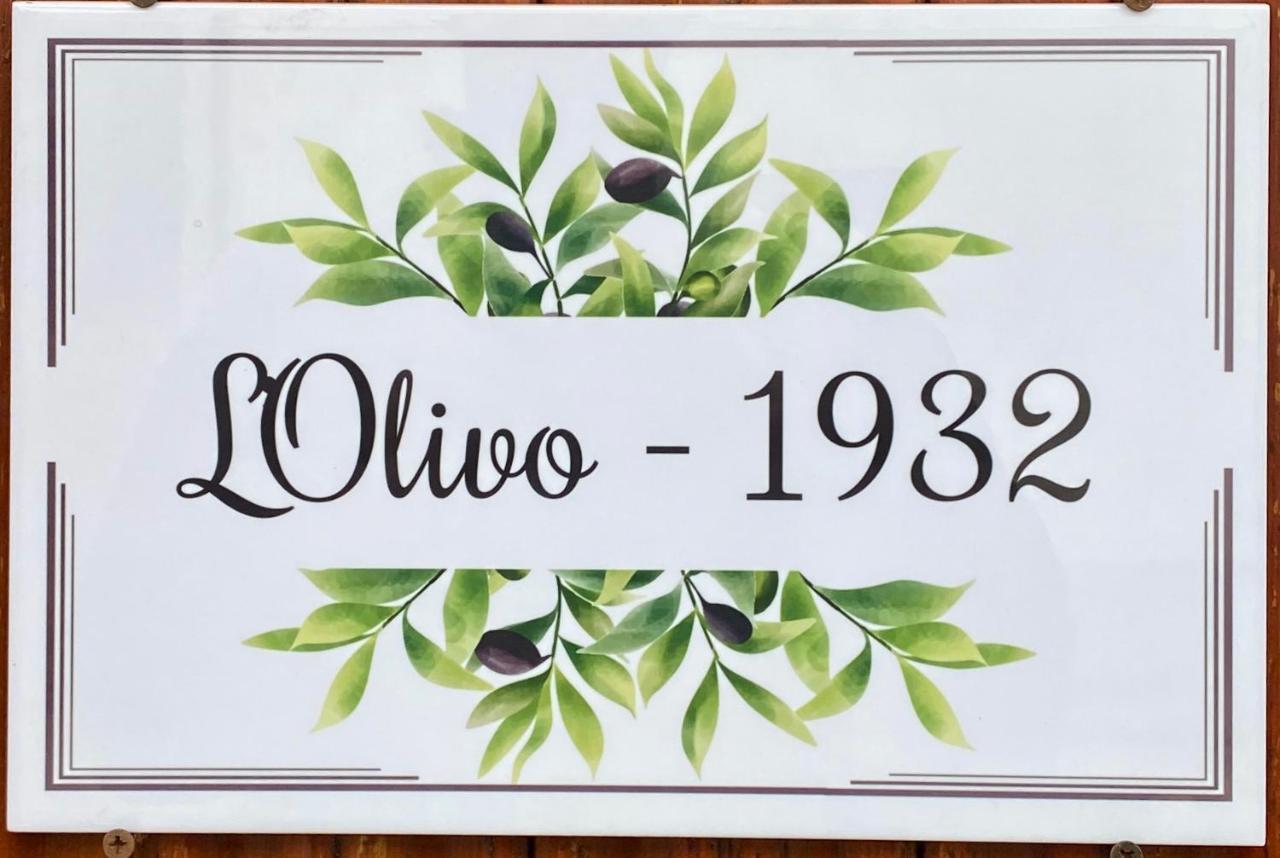 L'Olivo - 1932 Daire Controguerra Dış mekan fotoğraf